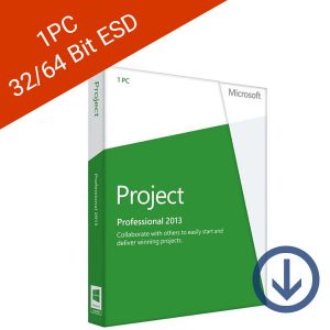 Microsoft Project Professional Payless PC