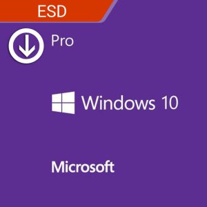 Microsoft Windows 10 Professional Payless PC
